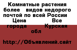 Комнатные растения более200видов недорого почтой по всей России › Цена ­ 100-500 - Все города  »    . Курская обл.